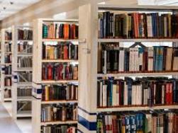 Biblioteconomia