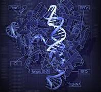 Biofisica