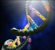 Biologia