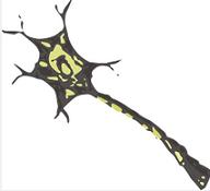 Biologia cellulare