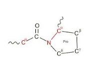 Legame peptidico