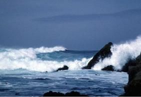 Mare